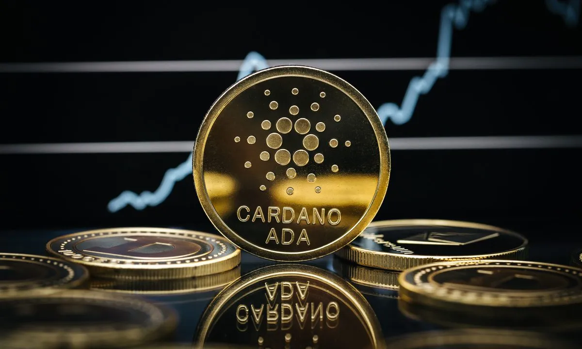 What is Cardano